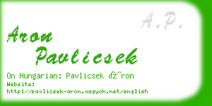 aron pavlicsek business card